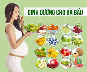 Dinh dưỡng cho bà bầu