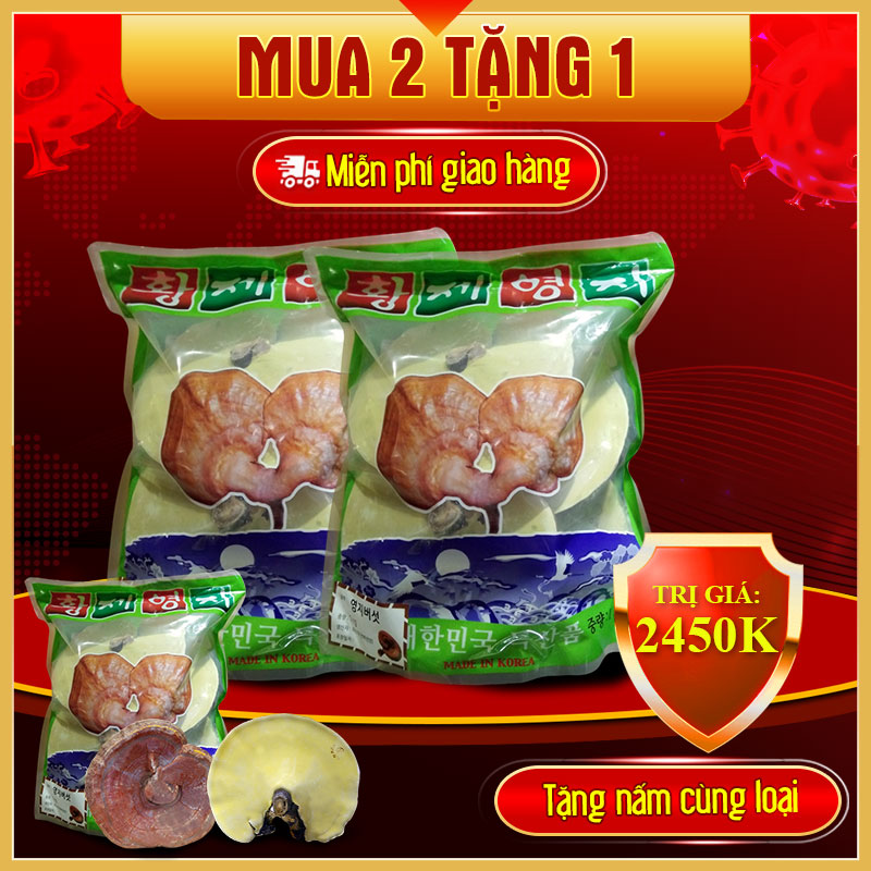 Nấm linh chi vàng thượng hạng đặc biệt túi xanh L038