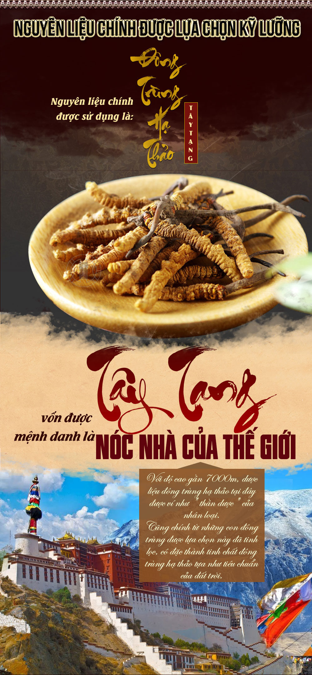 Đông trùng hạ thảo dạng nước