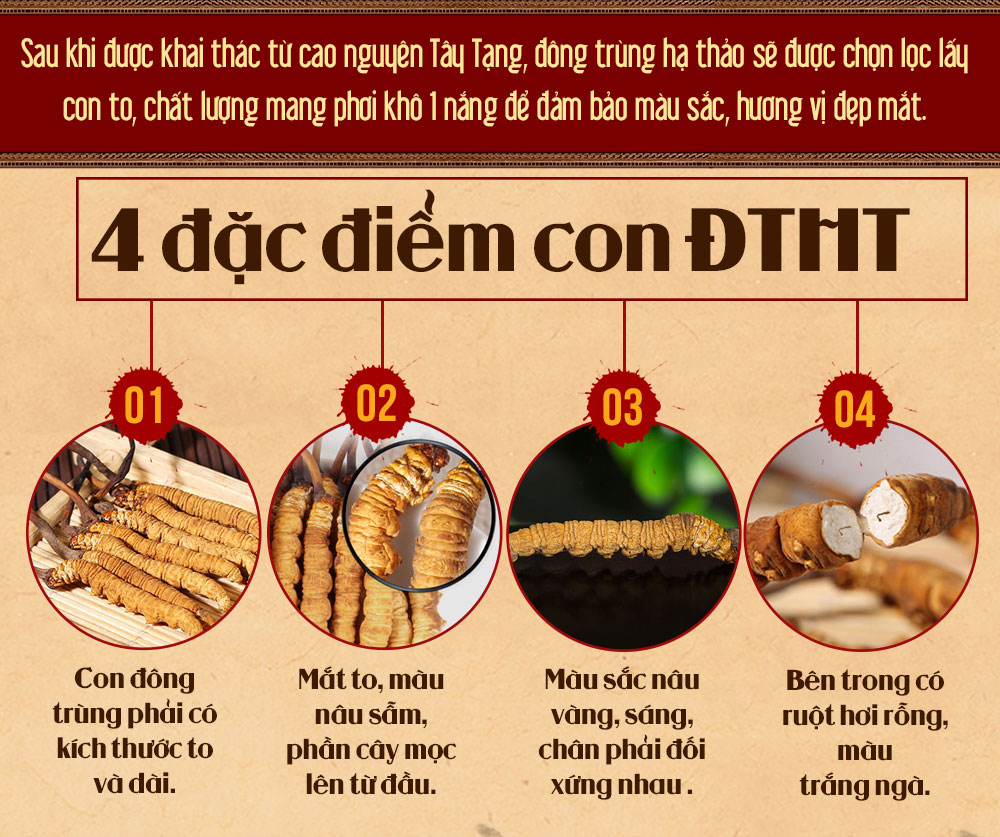 Đông trùng hạ thảo dạng nước