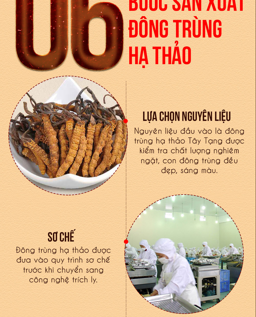 Đông trùng hạ thảo dạng nước