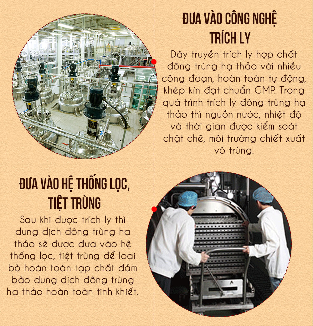 Đông trùng hạ thảo dạng nước