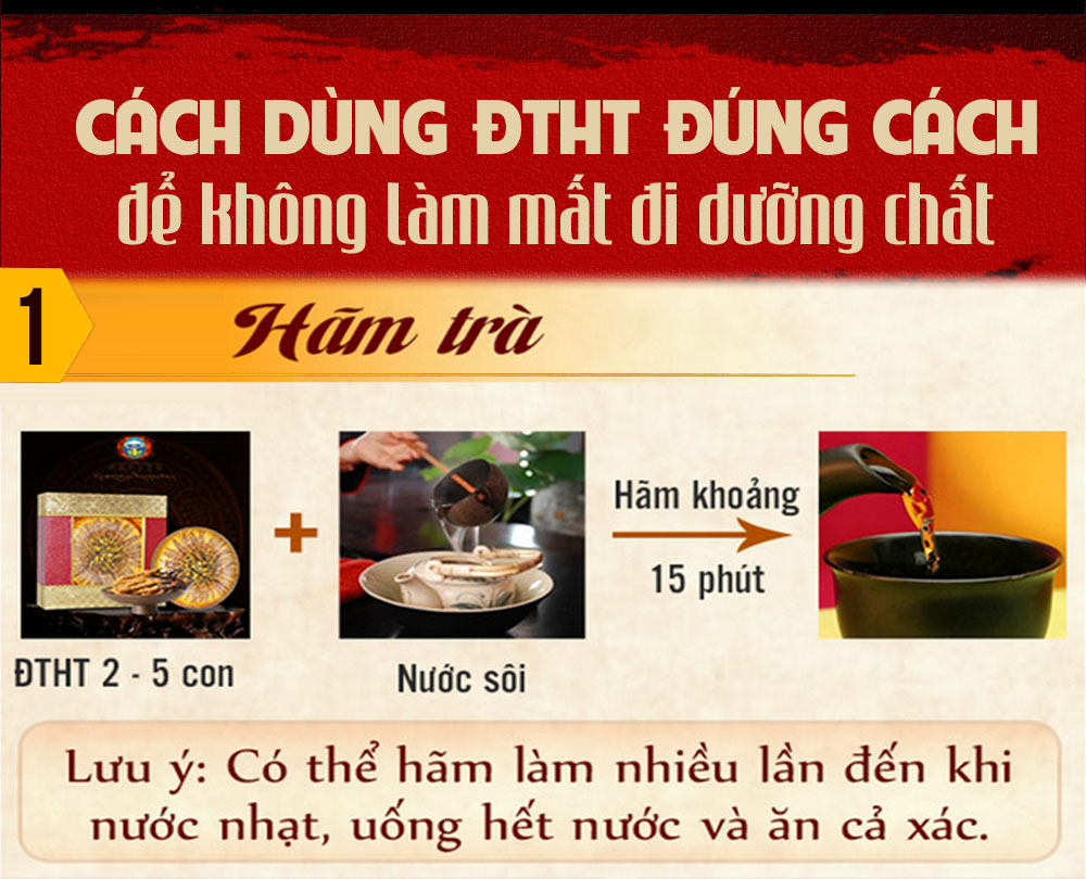 đông trùng hạ thảo nguyên con