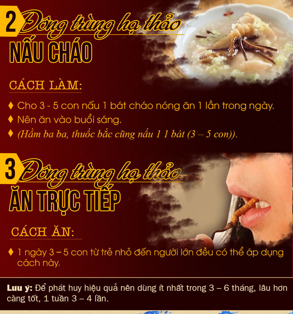 đông trùng hạ thảo nguyên con