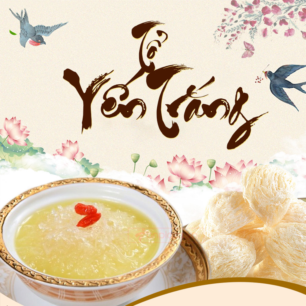 Tổ yến trắng yến nhà