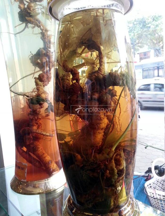 Bình ngâm sâm Ngọc Linh loại 5,7 lít KG13 NS300 2