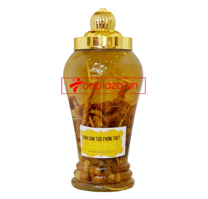 Bình sâm Ngọc Linh tươi củ nhỏ 3.5L NS394 4