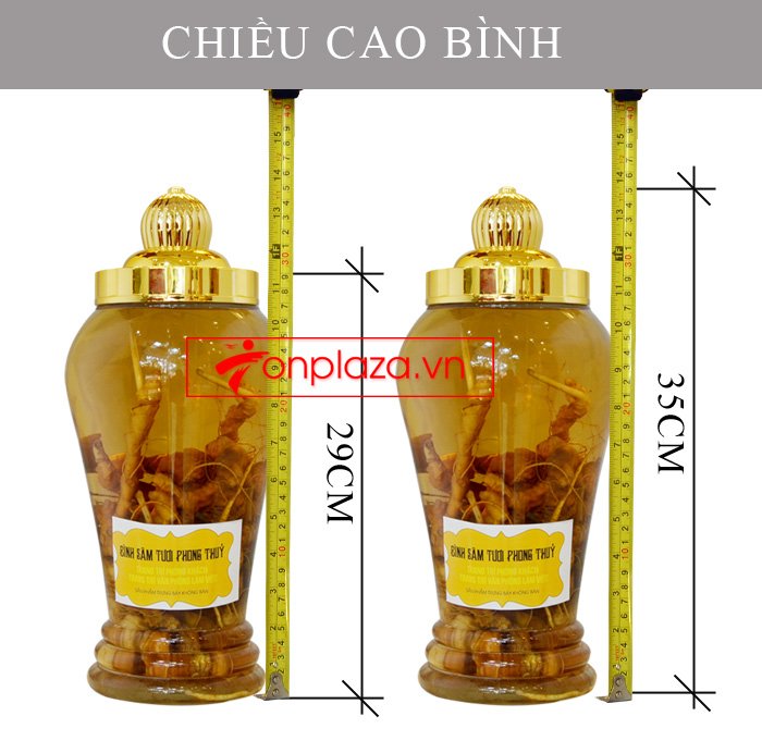 Bình sâm Ngọc Linh tươi củ nhỏ 3.5L NS394 5