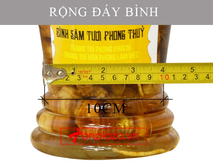 Bình sâm Ngọc Linh tươi củ nhỏ 3.5L NS394 7