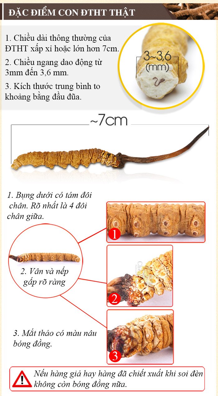 ĐTHT nguyên con 20g/hộp D003 7