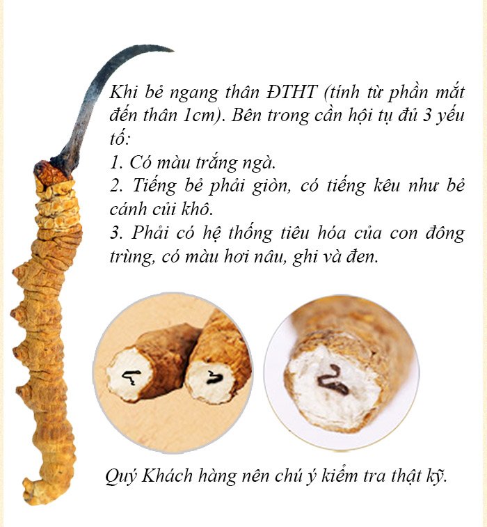 ĐTHT nguyên con 20g/hộp D003 8