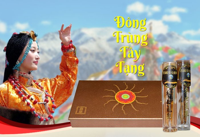 ĐTHT nguyên con cao cấp 10g/hộp D008