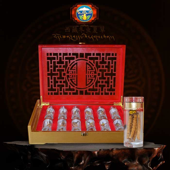 ĐTHT nguyên con cao cấp 20g/hộp D009