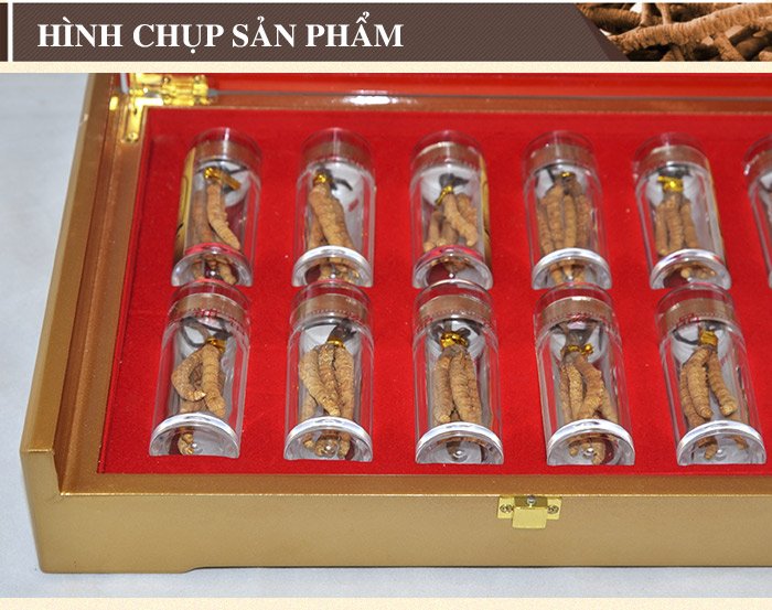 ĐTHT nguyên con cao cấp 20g/hộp D009 7