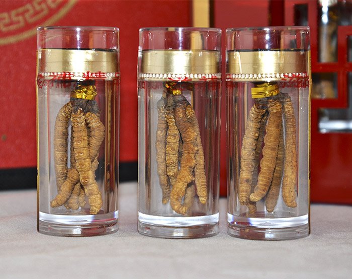 ĐTHT nguyên con cao cấp 20g/hộp D009 9