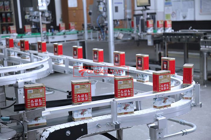 một số hình ảnh về quy trình sản xuất và đóng gói sp hồng sâm củ khô cao cấp chinh phu kgc hộp thiếc 5