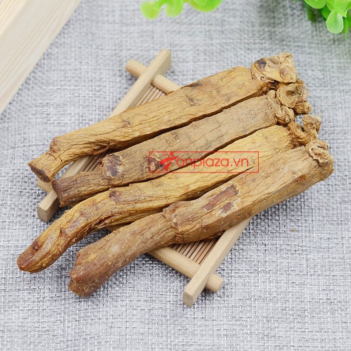 Hồng sâm củ khô cao cấp chính phủ KGC hộp thiếc 75g NS457 15