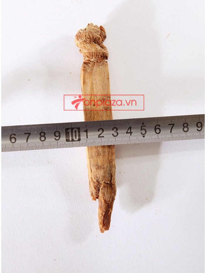 Hồng sâm củ khô cao cấp chính phủ KGC hộp thiếc 75g NS457 17