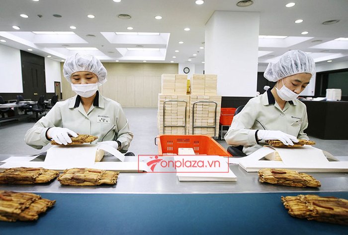 Hồng sâm củ khô cao cấp chính phủ KGC hộp thiếc 75g NS457 22