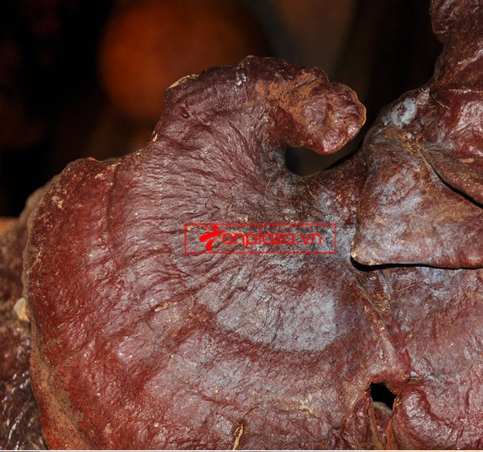 Nấm lim xanh tự nhiên 100% Quảng Nam 1kg/hộp L306 4