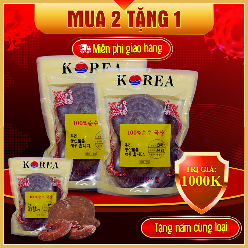 Nấm linh chi Đỏ (Túi 3-6 tai/Kg) L002