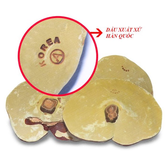 Nấm linh chi vàng thượng hạng Hộp quà biếu (1kg/ hộp) L027 6