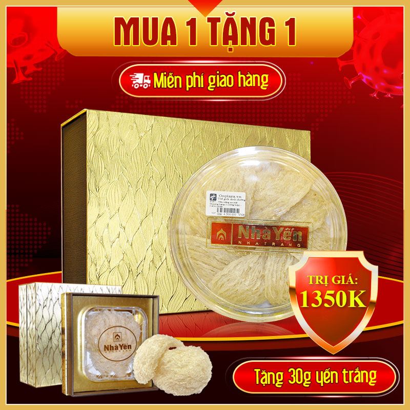 Tổ yến trắng sơ chế Thượng hạng 2 cao cấp (100g/hộp) Y067