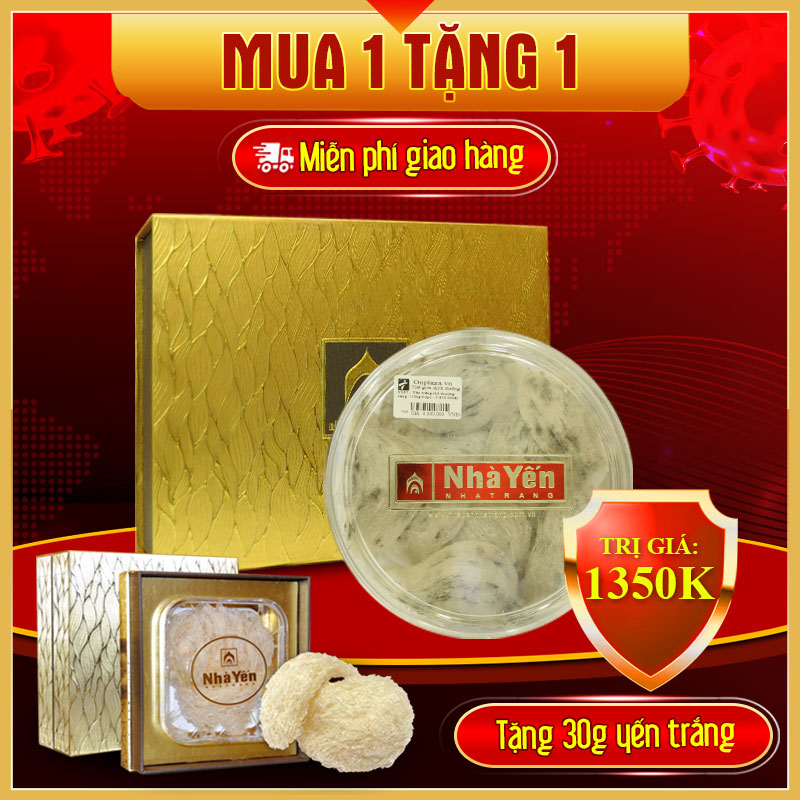 Yến trắng thô thượng hạng (100g/hộp) cao cấp Y065